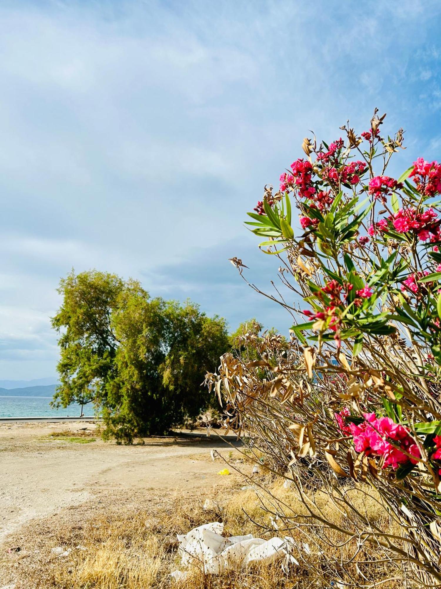 Marina'S Seacret Apartment Corinth Zewnętrze zdjęcie